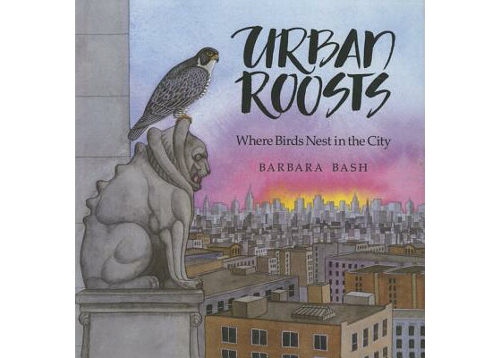 楽天ブックス Urban Roosts Where Birds Nest In The City Barbara Bash 洋書 楽天ブックス Urban Roosts Where Birds Nest In The City Barbara Bash 洋書